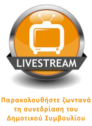 live-stream2