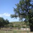 75-agrosykia-old-cemetary