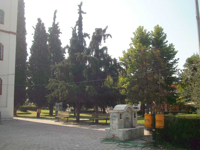 OLYMPUS DIGITAL CAMERA