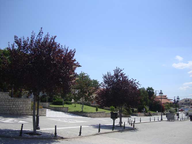 224-palia-pella