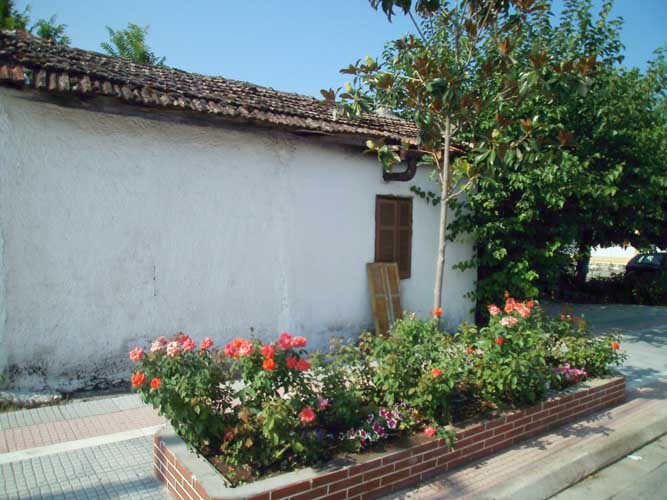 OLYMPUS DIGITAL CAMERA