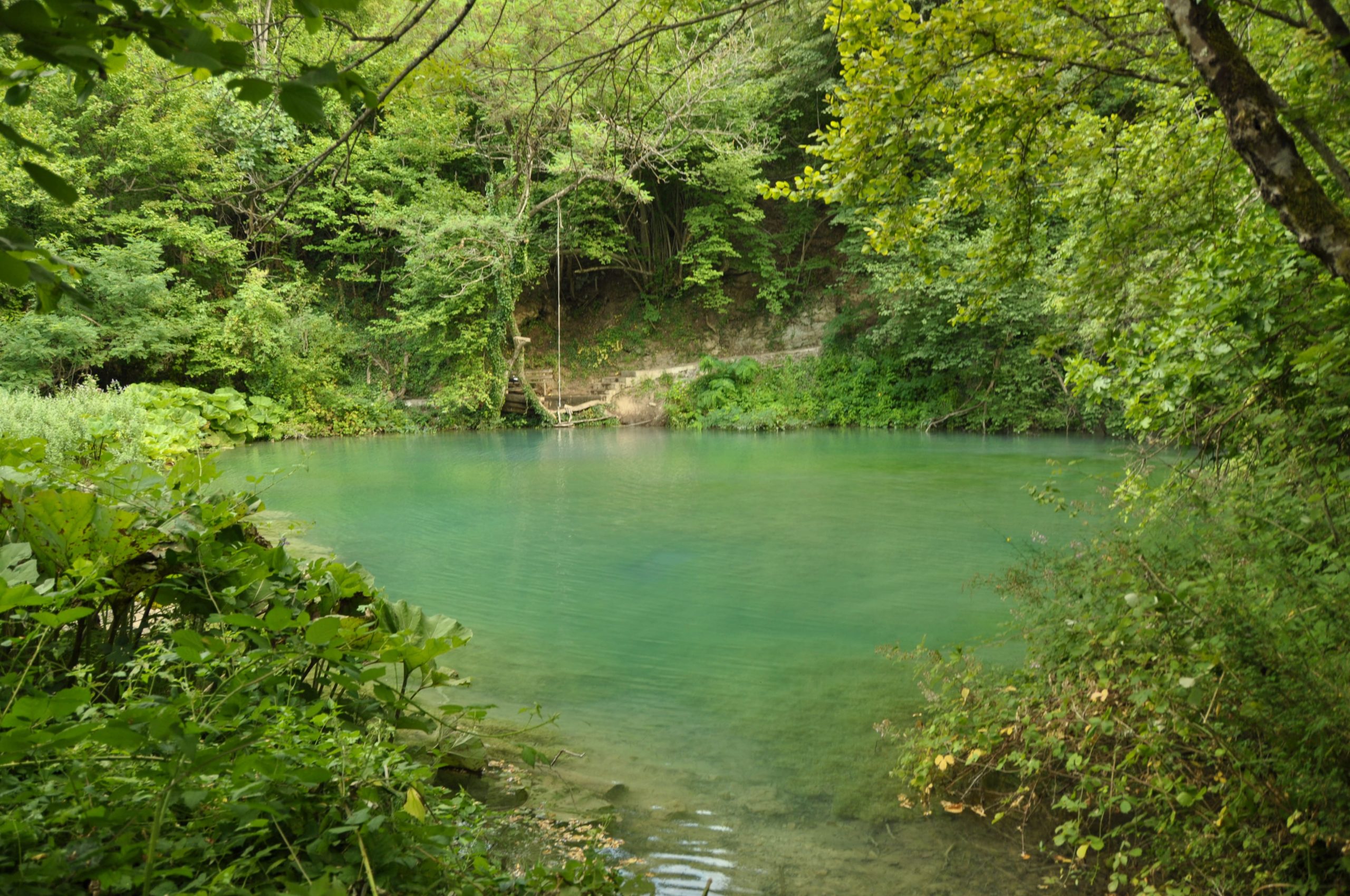 235_476 Λίγας Θωμάς-min