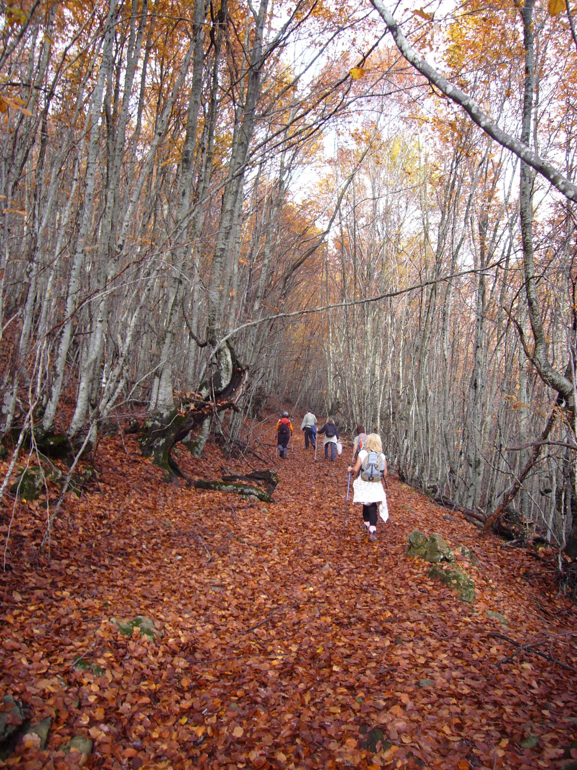 235_664 Λίγας Θωμάς-min