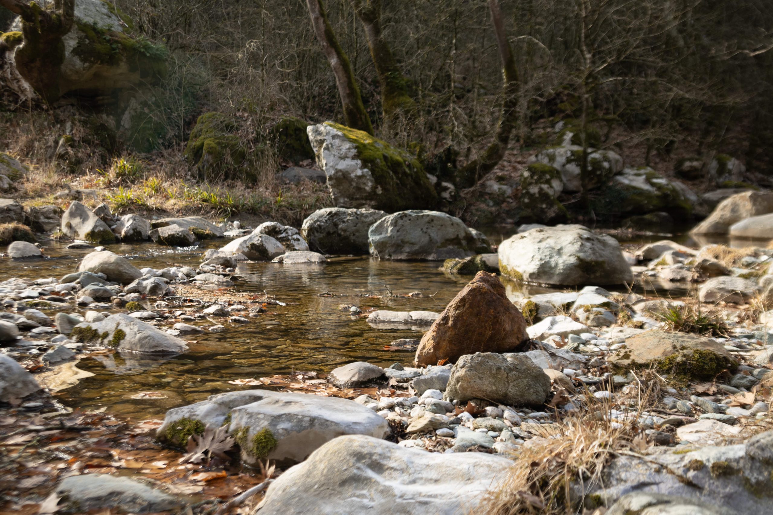 235_718 Λίγας Θωμάς-min