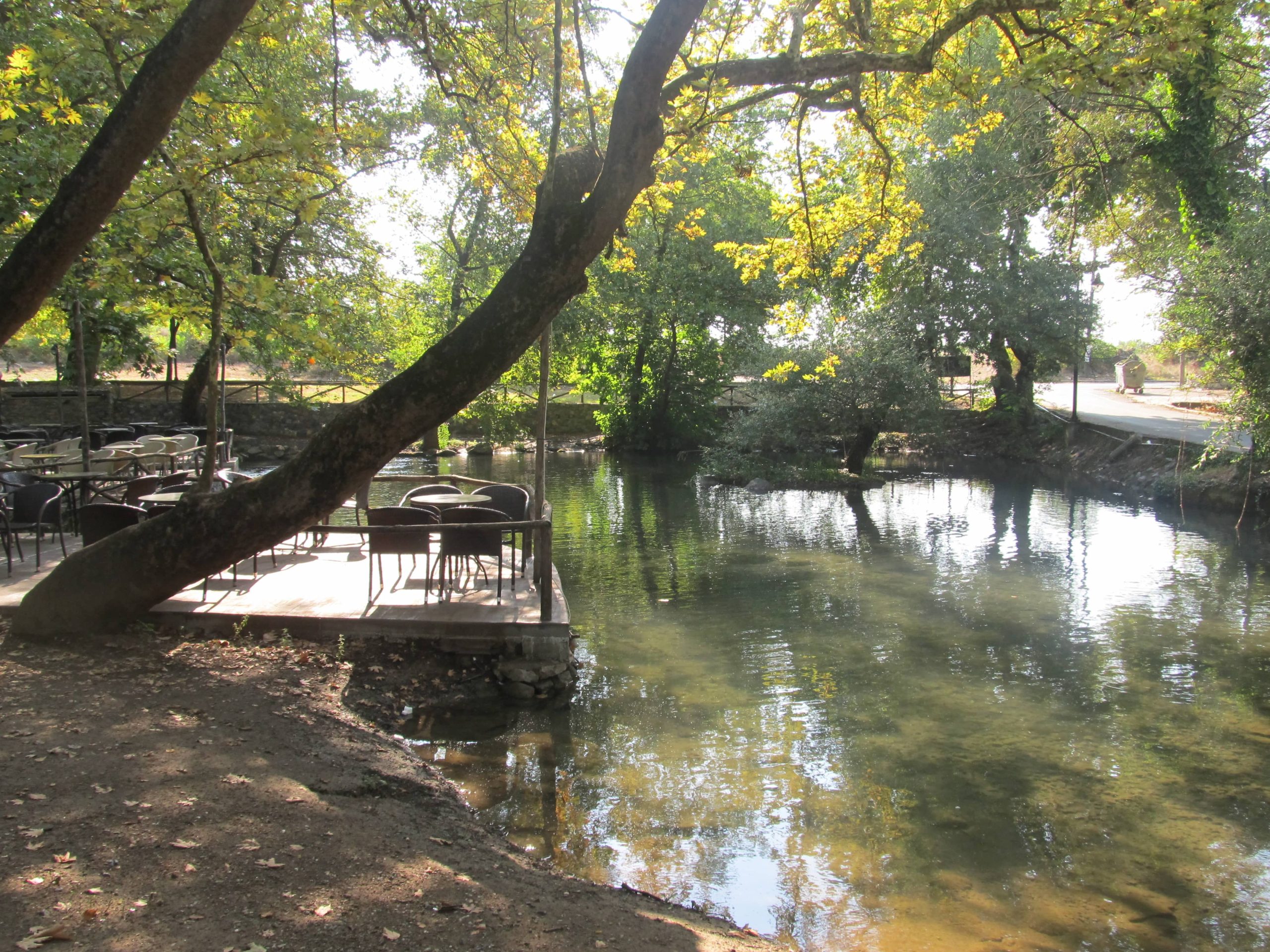 250_630 Μαρία Χατζηπέτρου-min