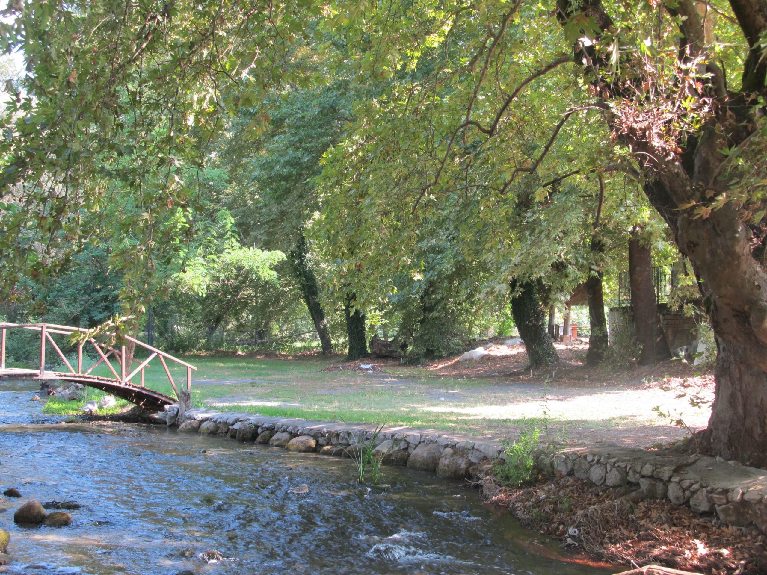 250_633 Μαρία Χατζηπέτρου-min