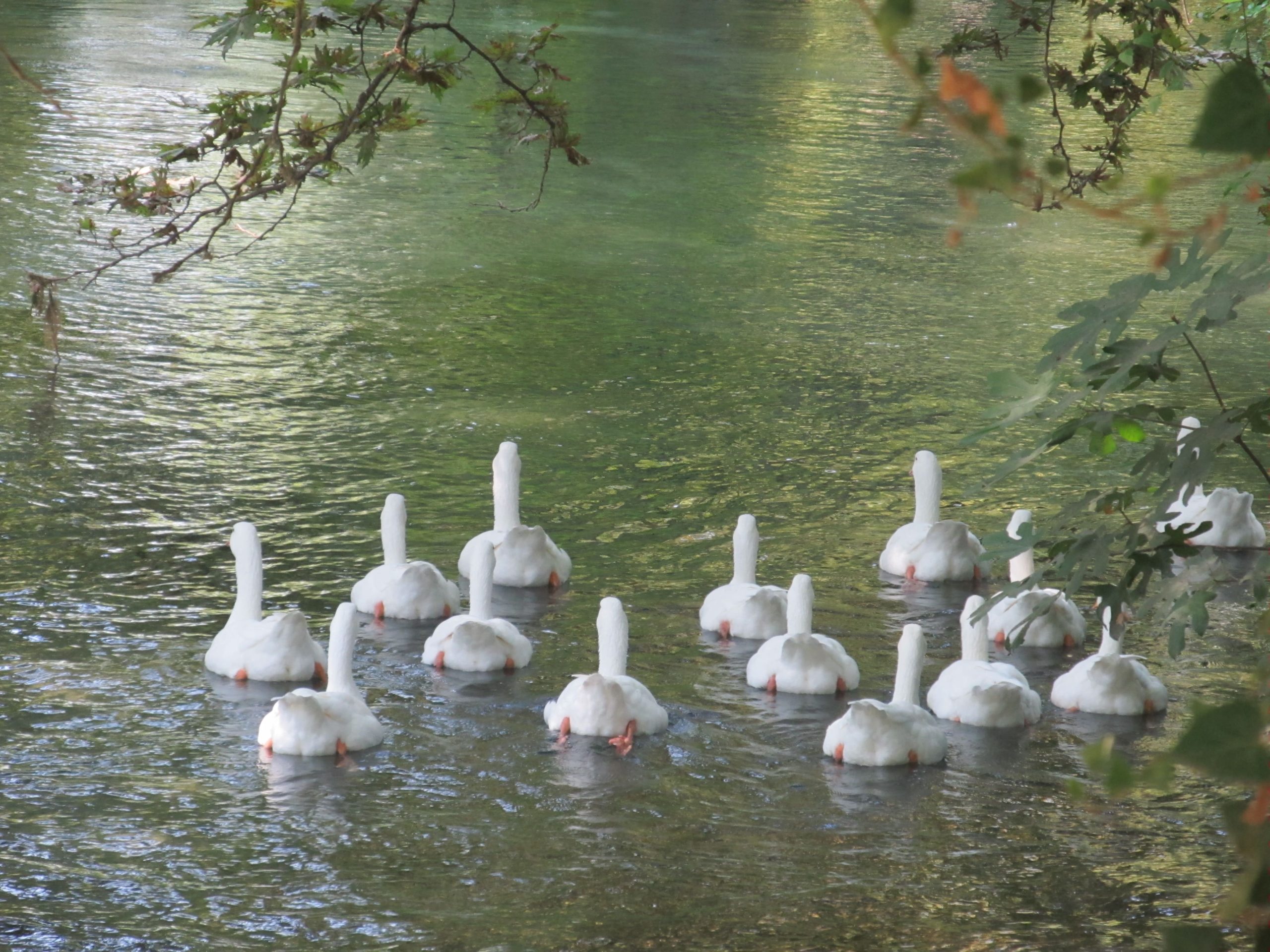 250_651 Μαρία Χατζηπέτρου-min