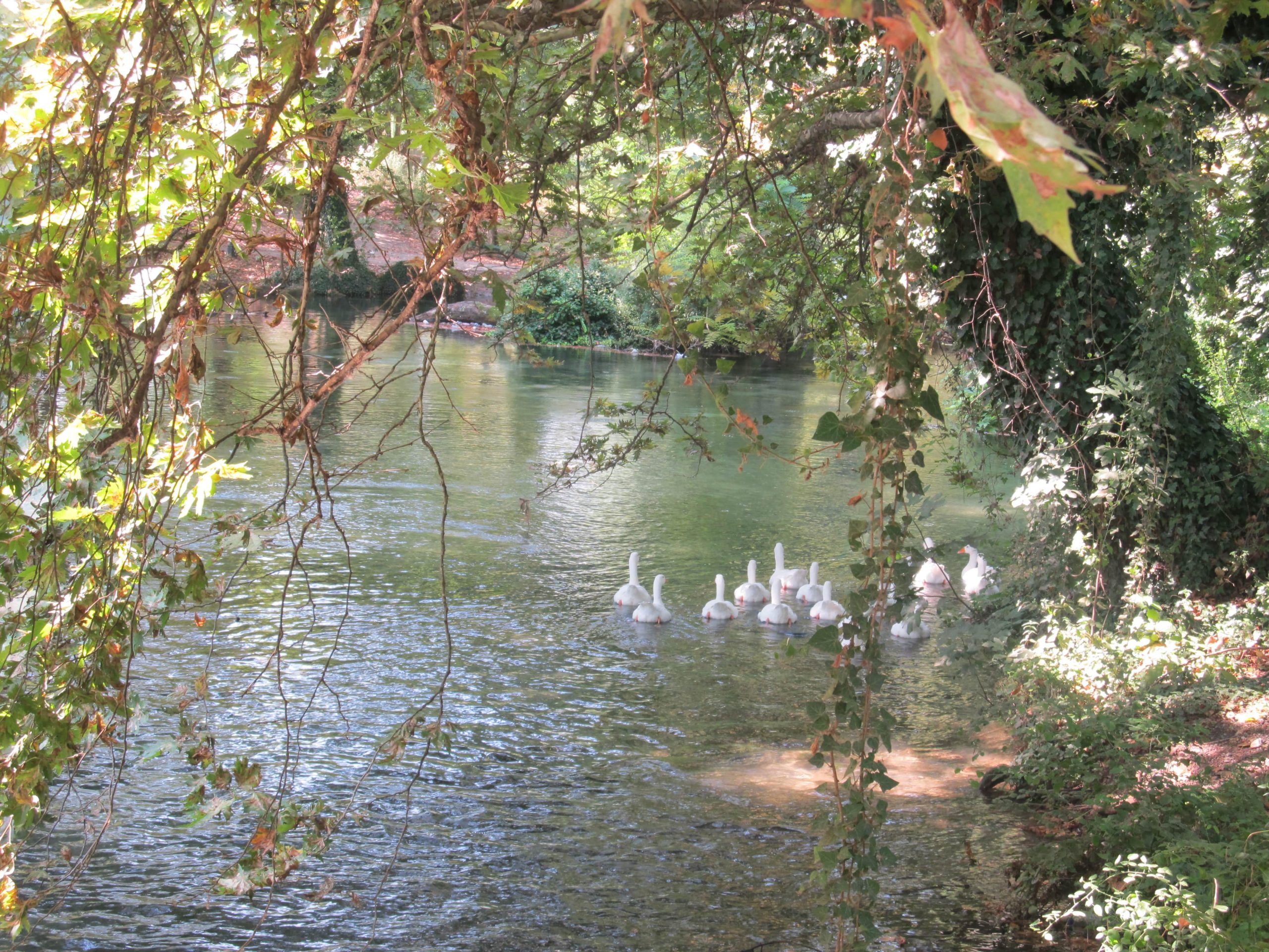 250_652 Μαρία Χατζηπέτρου-min