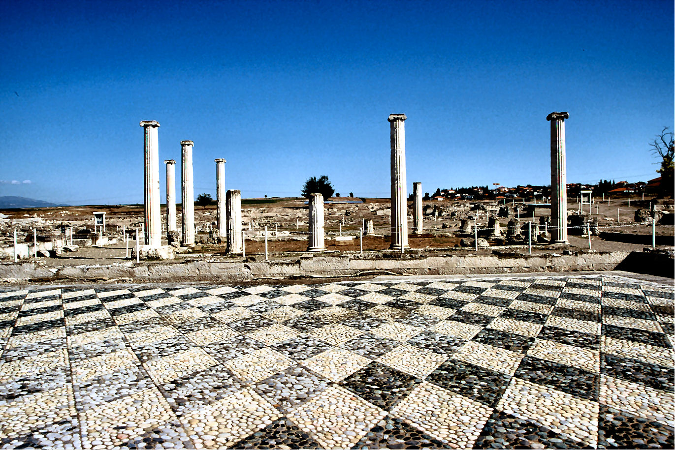 3 Πέλλα Οικία Διονύσου