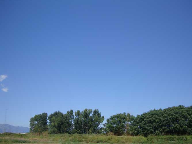 313-dromos-palia-pella