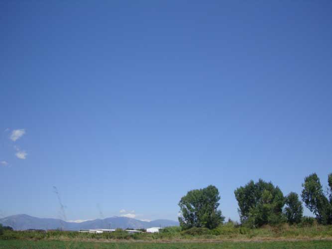 314-dromos-palia-pella