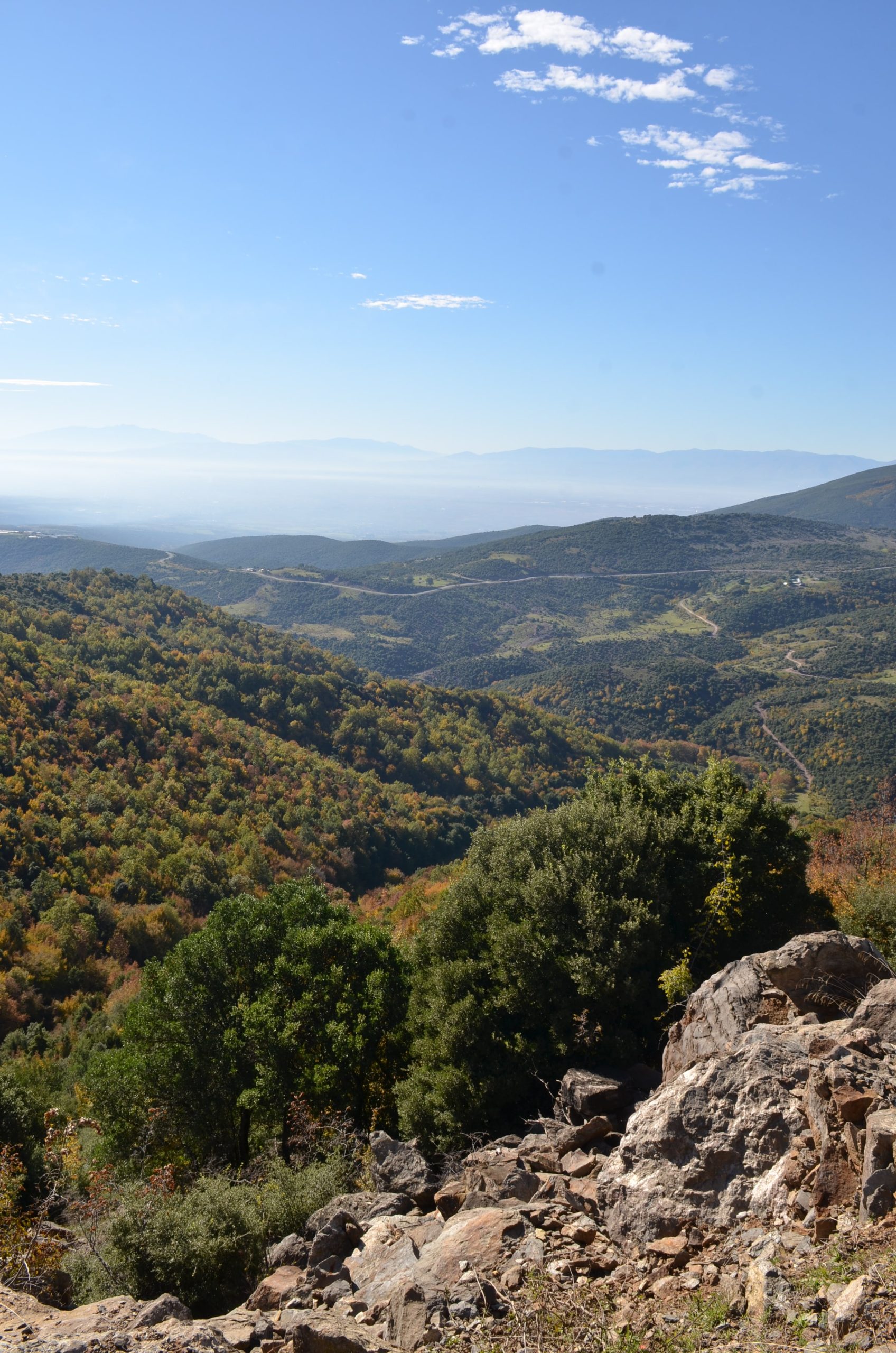 DSC_4259 Μαρία Χατζηπέτρου-min