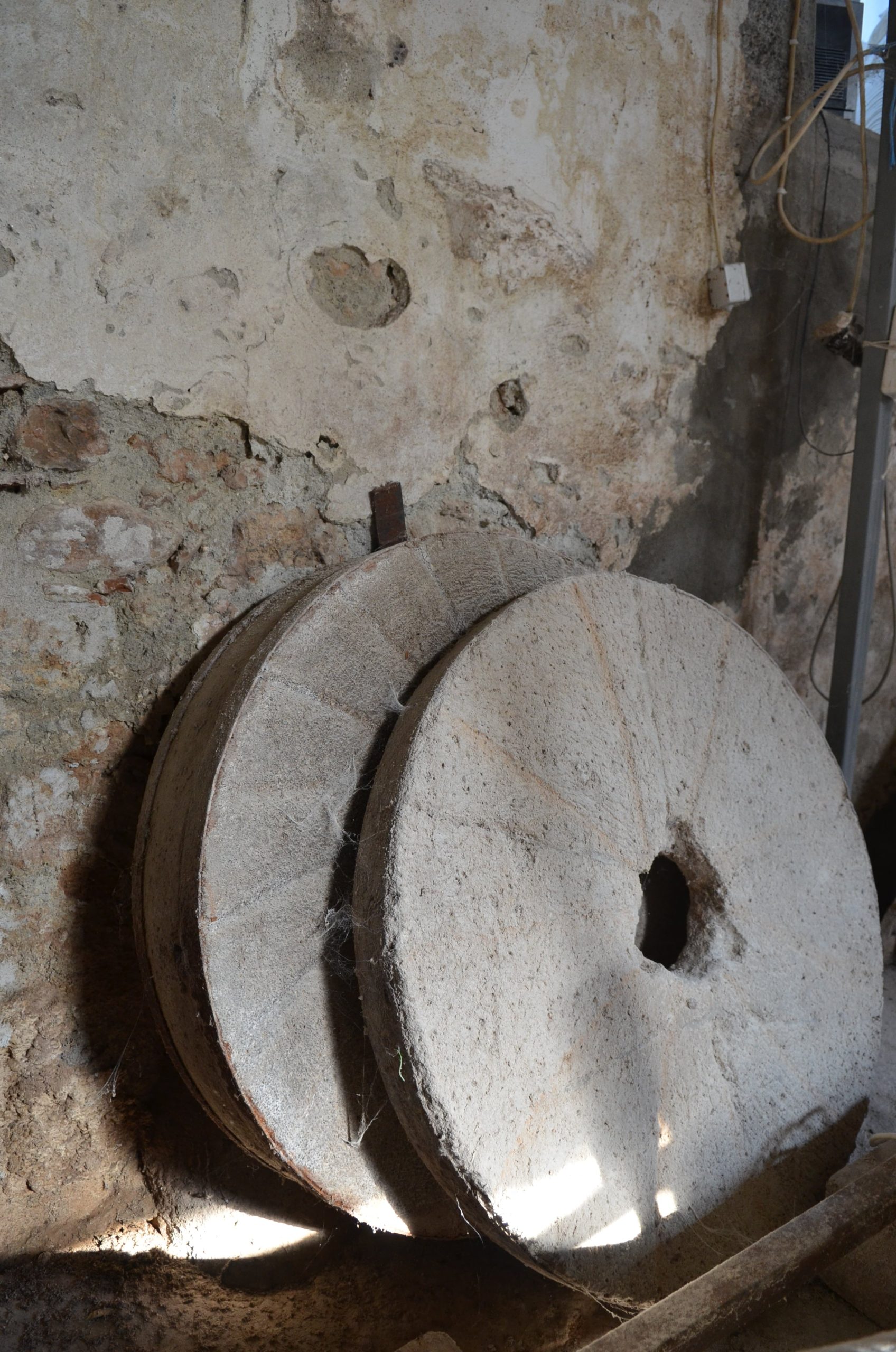 aravi Μαρία Χατζηπέτρου-min