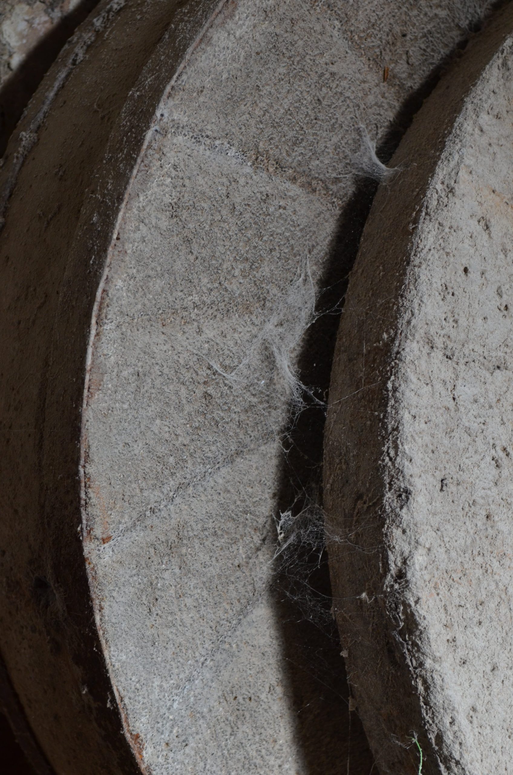 aravissos Μαρία Χατζηπέτρου-min