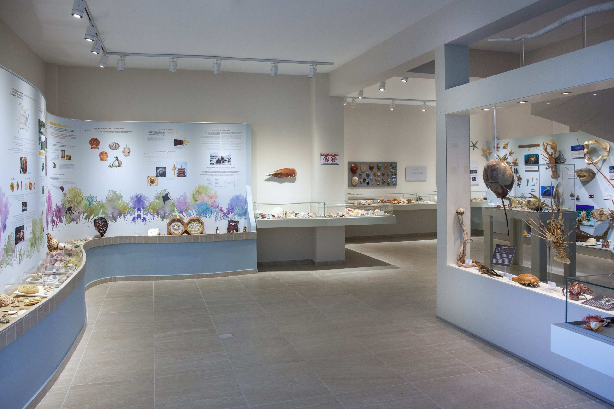 Έκθεση Φυσικής Ιστορίας «Ωκεανός»