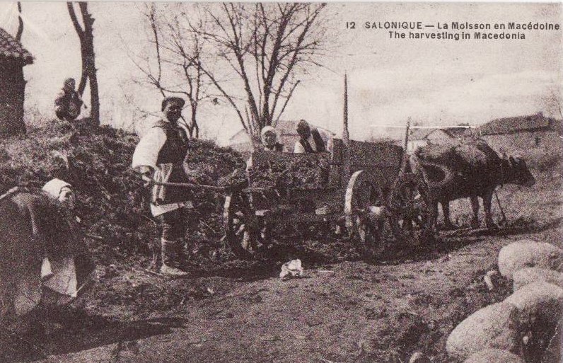 Βοιδάμαξα 1