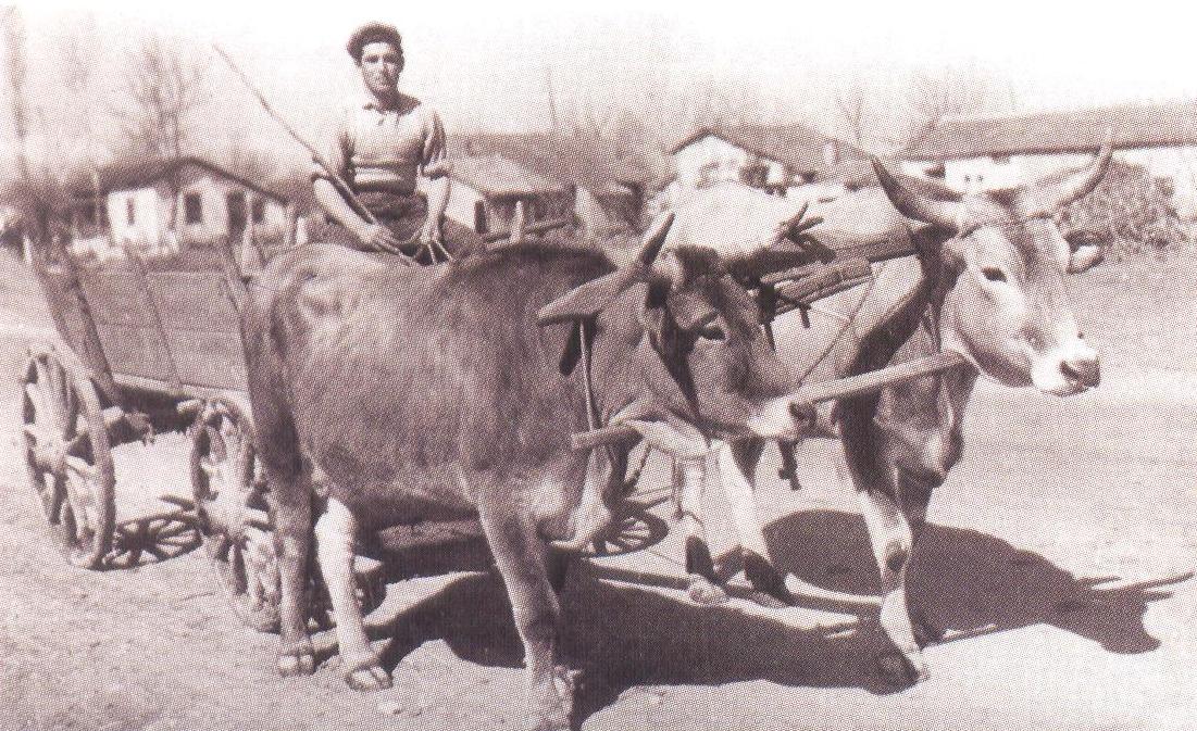 Γιαννιτσιώτες του 20ου αιώνα