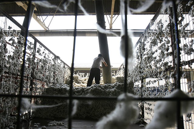 Γιαννιτσά, επεξεργασία βαμβακιού, φωτογράφος Ά. Ζυμαράς
