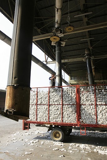 Γιαννιτσά, επεξεργασία βαμβακιού, φωτογράφος Ά. Ζυμαράς1