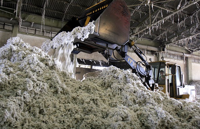 Γιαννιτσά, επεξεργασία βαμβακιού, φωτογράφος Α. Ζυμαράς