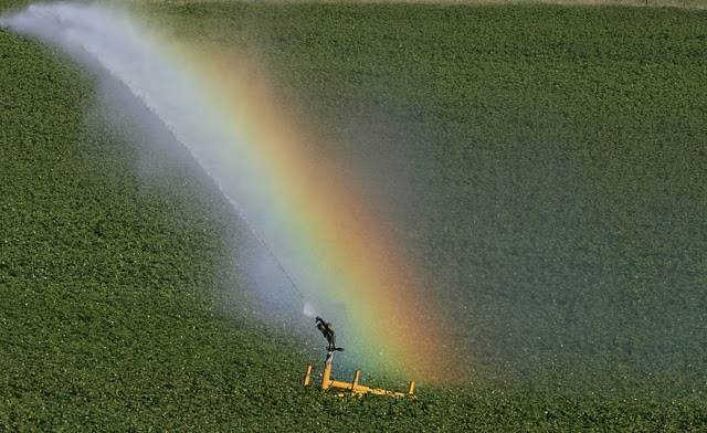Γιαννιτσά, κάμπος, φωτογράφος Ά. Ζυμαράς1