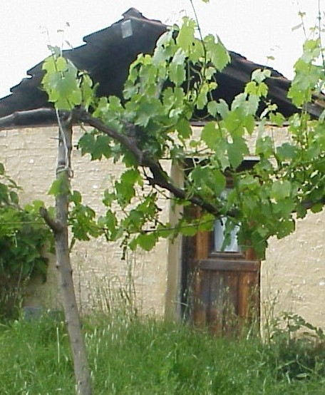 Γιαννιτσά, μεταπολεμική κατοικία, ΙΑΔΠ