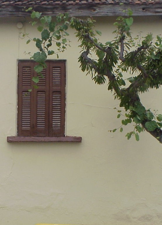 Γιαννιτσά, προσφυγική κατοικία, ΙΑΔΠ (2)