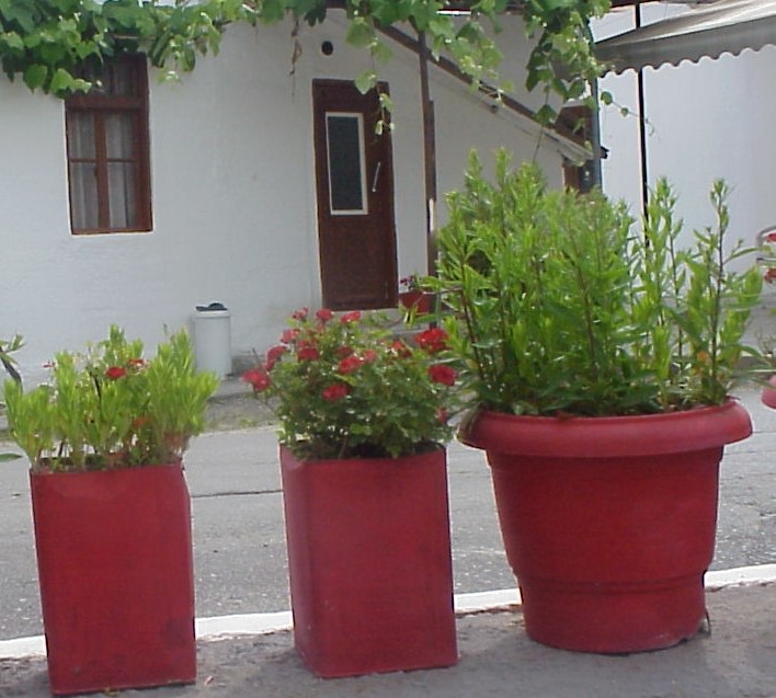 Γιαννιτσά, προσφυγική κατοικία, ΙΑΔΠ (4)