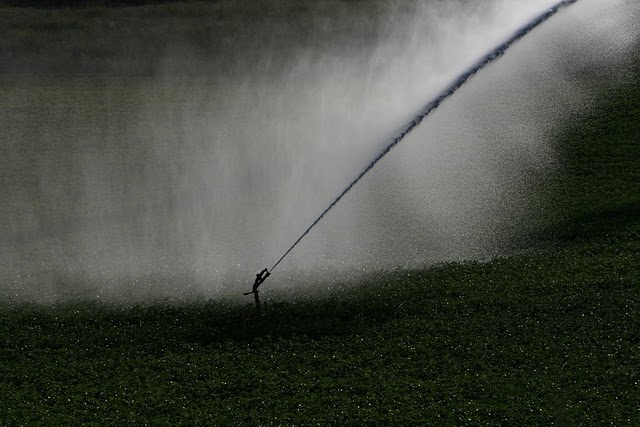 Κάμπος Γιαννιτσών, φωτογράφος Α. Ζυμαράς1