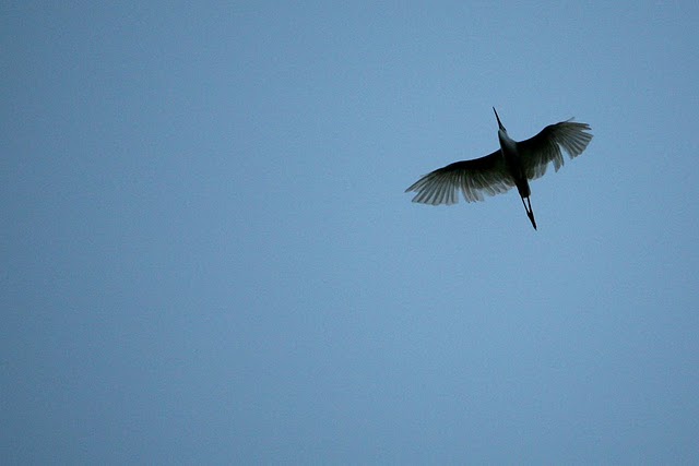 Κάμπος Γιαννιτσών, φωτογράφος Α. Ζυμαράς2