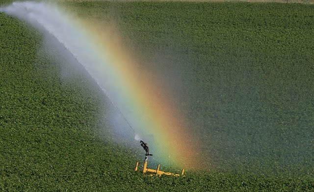Κάμπος Γιαννιτσών, φωτογράφος Α. Ζυμαράς4