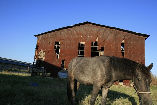 Καπναποθήκη, φωτογράφος Α. Ζυμαράς3