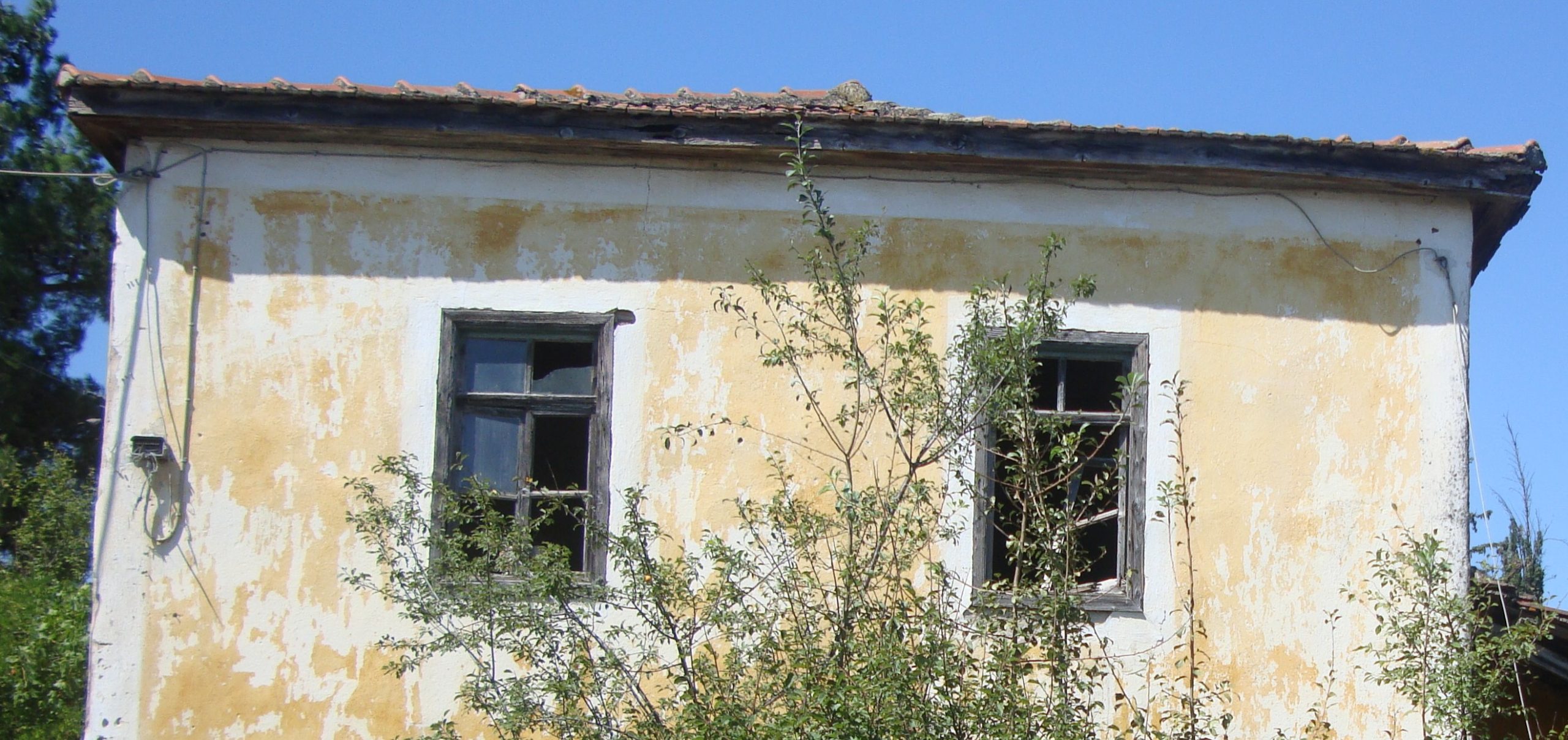 Λειβαδίτσα, ΙΑΔΠ