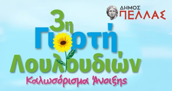 Την Κυριακή τα εγκαίνια της «3ης Γιορτής Λουλουδιών» στα Γιαννιτσά- Αναβολή λόγω καιρικών συνθηκών